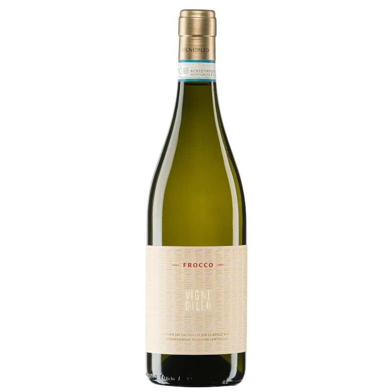 Verdicchio Frocco Vignedileo